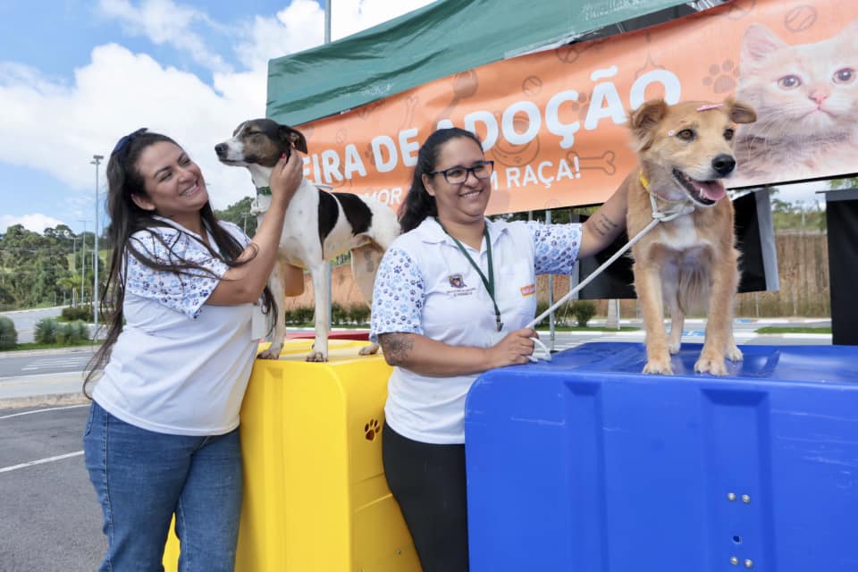 <strong><em>Mutirão de castração atende mais de 140 animais da cidade</em></strong>