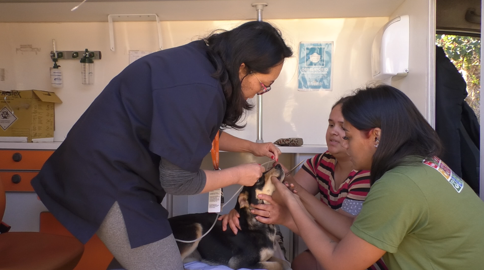 Bem-Estar Animal de Santana de Parnaíba divulga atendimentos do primeiro semestre