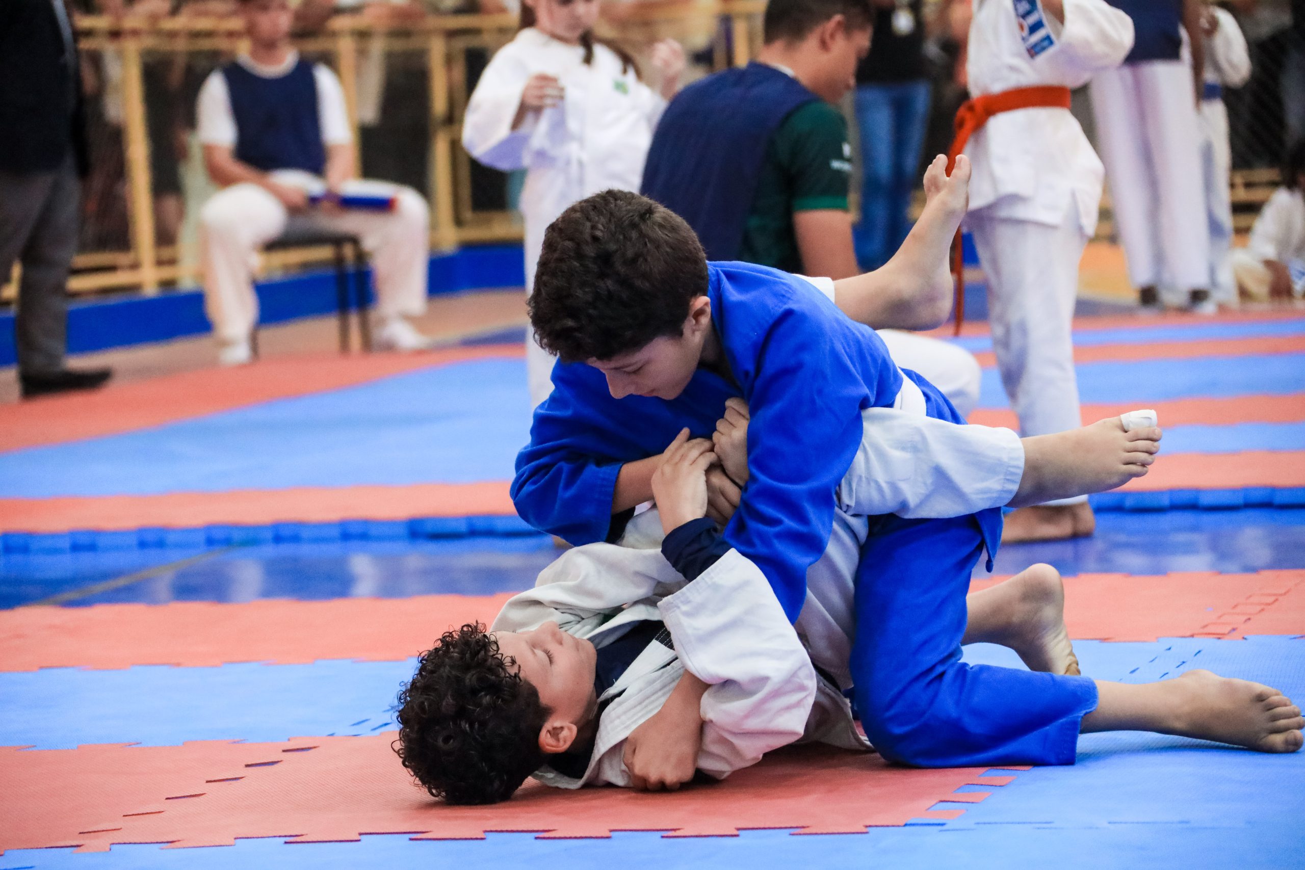 Santana de Parnaíba realiza 8º Festival de Artes Marciais 